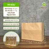 Túi giấy kraft có quai nâu, V4, 28 × 35 × 17 cm, 100 g/m²