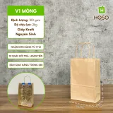 Túi giấy kraft có quai nâu, V1 mỏng, 21 × 13 × 8 cm, 70 g/m²